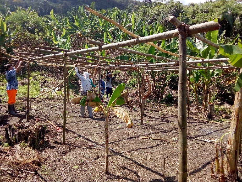 Centro María Elena Moyano, instala 70 sistemas agroforestales, en 5 comunidades de Chazuta y Shapaja- Región San Martín